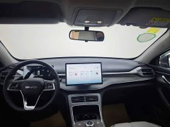 BYD Destroyer 05 2024 Glory Edition DM-i 55KM Luxury - ფოტო 11