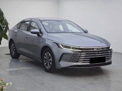 BYD Destroyer 05 2024 Glory Edition DM-i 55KM Luxury - ფოტო 5