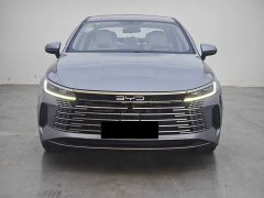 BYD Destroyer 05 2024 Glory Edition DM-i 55KM Luxury - ფოტო 9