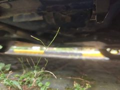 Honda Fit 1.5L CVT Sport Pro Edition - ფოტო 18