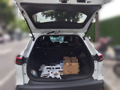 Toyota Frontlander 2.0L Intelligent Hybrid Dual Engine Leading Edition - ფოტო 10
