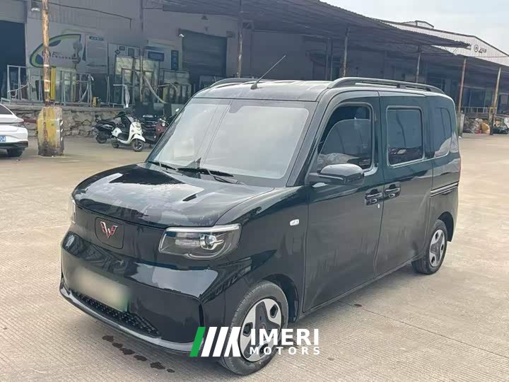 Wuling Zhiguang New Energy 305km Aspiring Edition