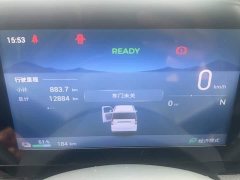 Wuling Zhiguang New Energy 305km Aspiring Edition - ფოტო 6