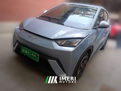 2024 BYD Seagull Glory Edition 305km Freedom Version - ავტომობილი ჩინეთიდან