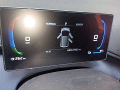 BYD Seagull Glory Edition 305km Freedom Version - ფოტო 19