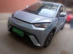 BYD Seagull Glory Edition 305km Freedom Version - ფოტო 2