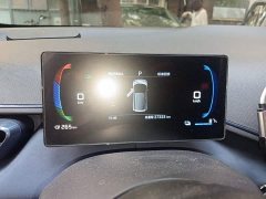 BYD Seagull Glory Edition 305km Freedom Version - ფოტო 4