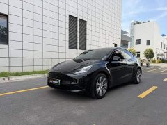 Tesla Model Y Rear-Wheel Drive - ფოტო 2