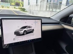 Tesla Model Y Rear-Wheel Drive - ფოტო 4