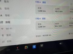 Tesla Model Y Rear-Wheel Drive - ფოტო 5