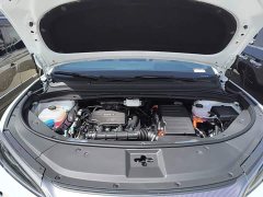 BYD Song L DM-i 112km Transcendence - ფოტო 16