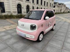 FAW Besturn Xiaoma 222km Dynamic Edition - ფოტო 1