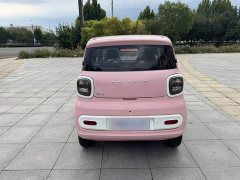 FAW Besturn Xiaoma 222km Dynamic Edition - ფოტო 3