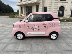 FAW Besturn Xiaoma 222km Dynamic Edition - ფოტო 5