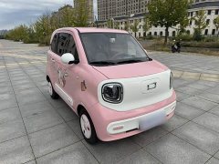 FAW Besturn Xiaoma 222km Dynamic Edition - ფოტო 6