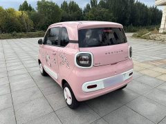 FAW Besturn Xiaoma 222km Dynamic Edition - ფოტო 7