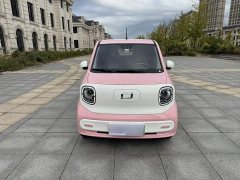FAW Besturn Xiaoma 222km Dynamic Edition - ფოტო 8