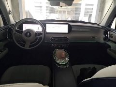 Ora Ballet Cat 2023 401km Deluxe - ფოტო 14