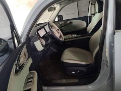 Ora Ballet Cat 2023 401km Deluxe - ფოტო 20
