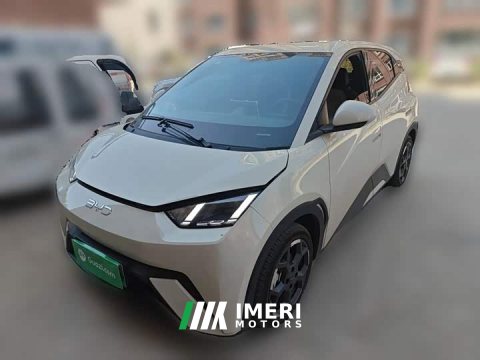 2025 BYD Seagull 405km Flying Edition - ავტომობილი ჩინეთიდან