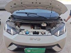 BYD Seagull 405km Flying Edition - ფოტო 11