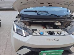 BYD Seagull 405km Flying Edition - ფოტო 19