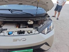 BYD Seagull 405km Flying Edition - ფოტო 20