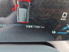 BYD Seagull 405km Flying Edition - ფოტო 5