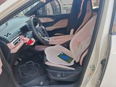 BYD Seagull 405km Flying Edition - ფოტო 8
