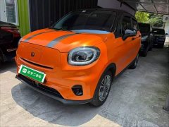 Leapmotor Leapo T03 2021 400 Luxury Edition - ფოტო 2