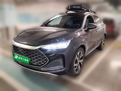 BYD Tang New Energy DM-i 115KM Premium Edition - ფოტო 1