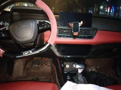 Dongfeng Yixuan 230T Automatic Shadow Knight Edition - ფოტო 13