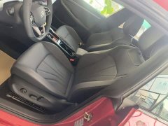Volkswagen Lingdu 2026 Lingdu L GTS 380TSI Lingfeng Million Anniversary Edition - ფოტო 11