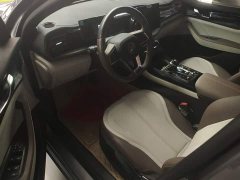 BYD Qin PLUS 2023 Champion Edition DM-i 55KM Leading - ფოტო 12