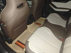 BYD Qin PLUS 2023 Champion Edition DM-i 55KM Leading - ფოტო 13