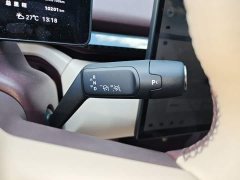 Zeekr Geely Zeekr X Five-Seat Rear-Wheel Drive - ფოტო 10