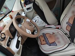 Wuling Hongguang MINIEV 2024 Third Generation 215km Youth Edition - ფოტო 8