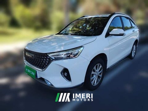 2023 Haval M6 2021 PLUS 1.5T DCT Luxury Smart Connected Edition - ავტომობილი ჩინეთიდან