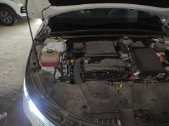 BYD Destroyer 05 Glory Edition DM-i 55KM Luxury - ფოტო 18