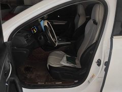 BYD Destroyer 05 Glory Edition DM-i 55KM Luxury - ფოტო 8