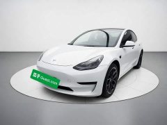 Tesla Model 3 Performance All-Wheel Drive - ფოტო 1