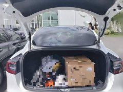 Tesla Model 3 Performance All-Wheel Drive - ფოტო 10