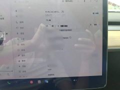 Tesla Model 3 Performance All-Wheel Drive - ფოტო 18