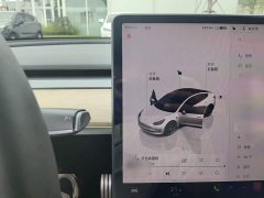 Tesla Model 3 Performance All-Wheel Drive - ფოტო 4