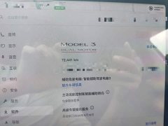 Tesla Model 3 Performance All-Wheel Drive - ფოტო 5