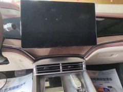 BYD Dolphin DM-i 1.5L 121km Luxury - ფოტო 13