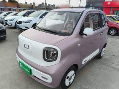 FAW Besturn Xiaoma 222km Dynamic Edition - ფოტო 1