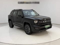 Haval Big Dog PLUS New Energy Hi4 150km Trendy EV Edition - ფოტო 6