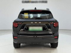 Haval Big Dog PLUS New Energy Hi4 150km Trendy EV Edition - ფოტო 9