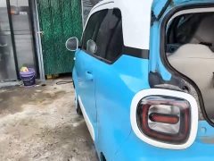 FAW Besturn Xiaoma 170km Vitality Edition - ფოტო 12